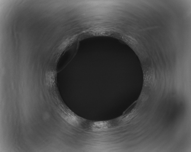 X0000059060335200510071048