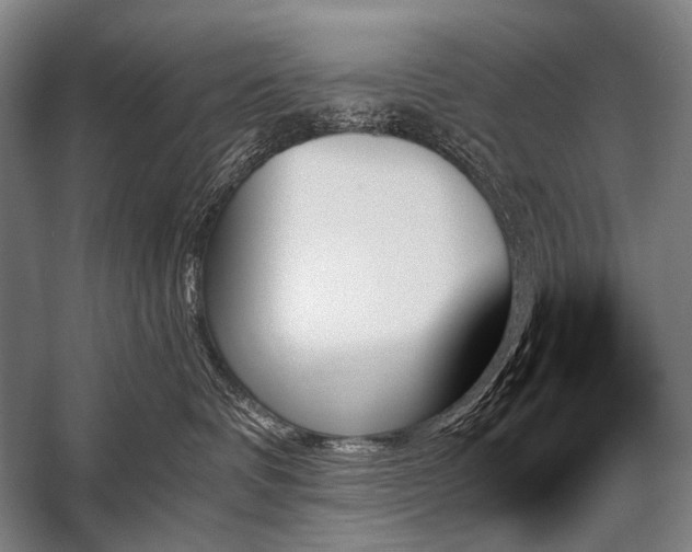 X0000059060336200510071048