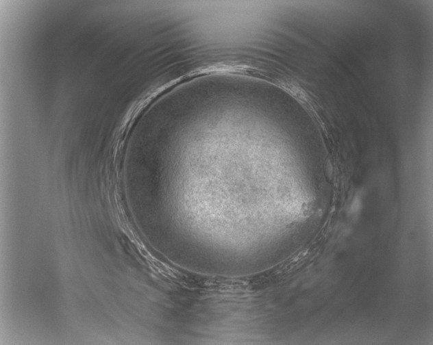 X0000059060337200510071048