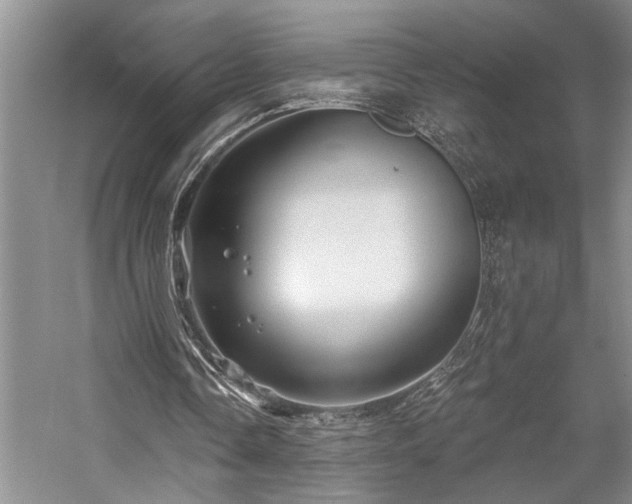 X0000059060338200510071048