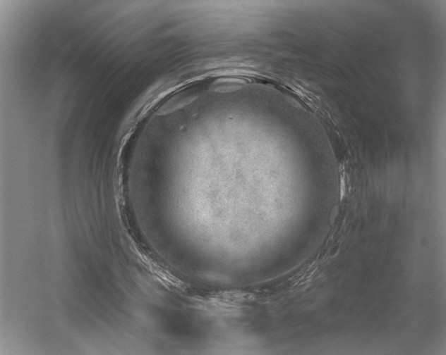 X0000059060339200510071048