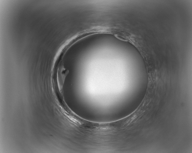 X0000059060342200510071048