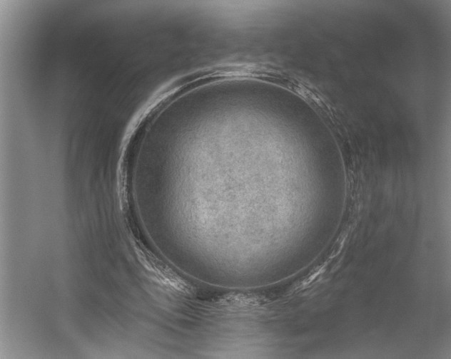 X0000059060343200510071048