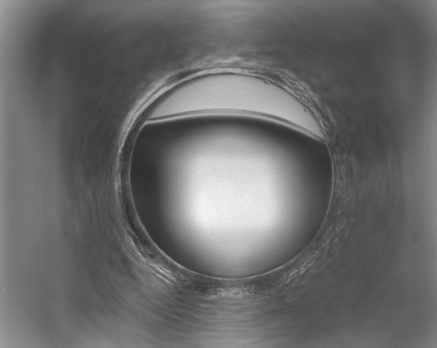 X0000059060344200510071048