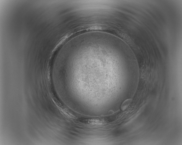 X0000059060347200510071048