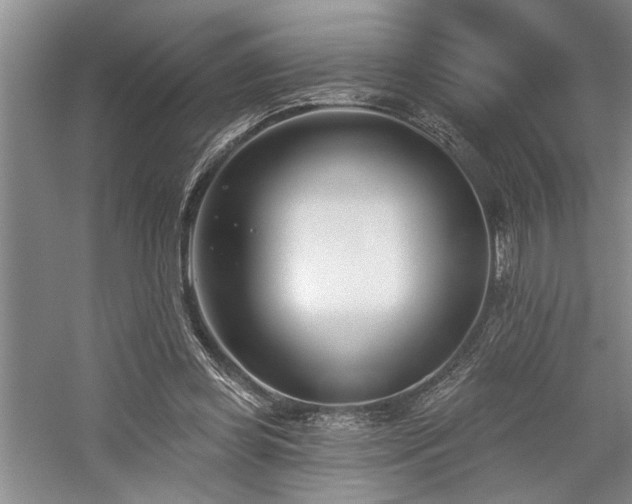 X0000059060349200510071048