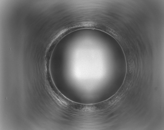 X0000059060350200510071048