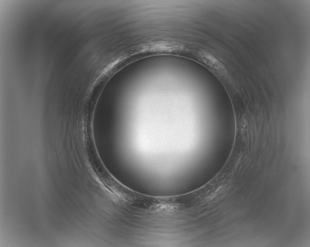 X0000059060352200510071048