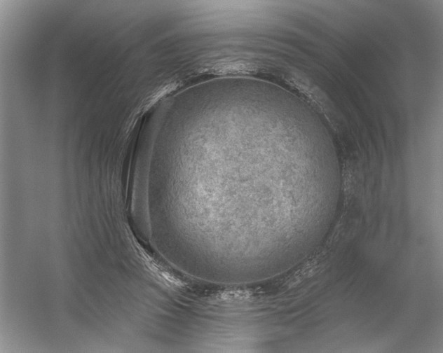 X0000059060353200510071048