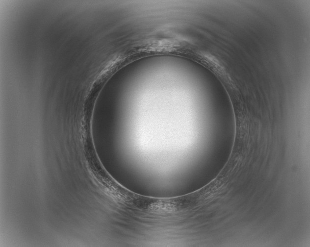 X0000059060354200510071048