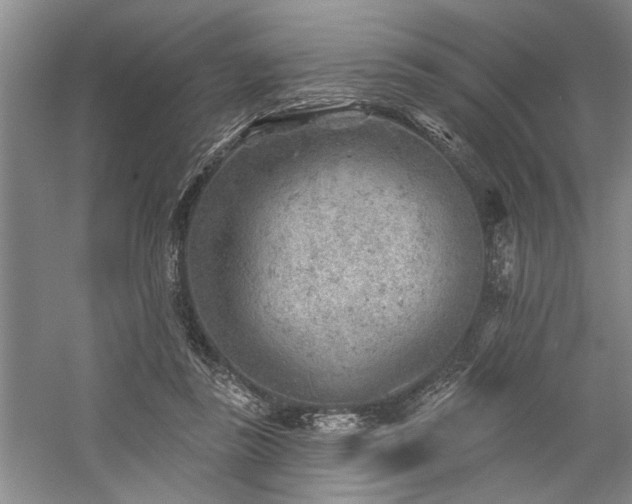 X0000059060355200510071048