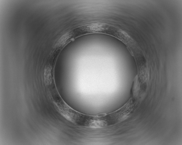 X0000059060360200510071048