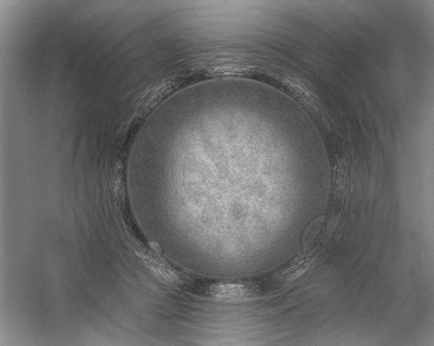 X0000059060361200510071048