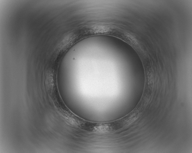 X0000059060362200510071048