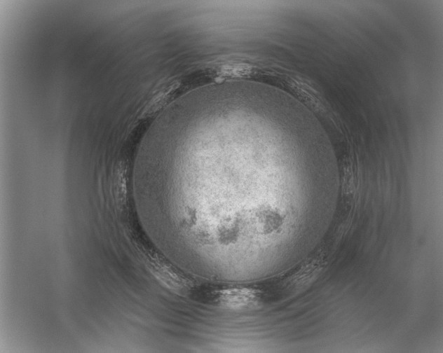 X0000059060363200510071048