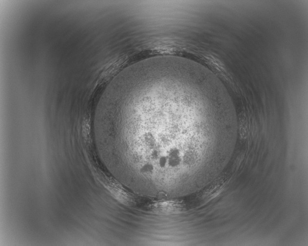 X0000059060365200510071048