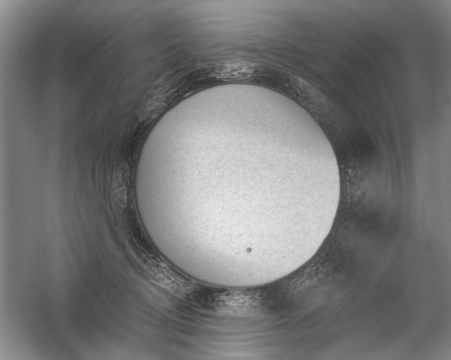 X0000059060370200510071048