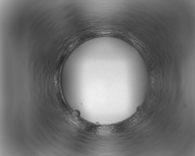 X0000059060373200510071048