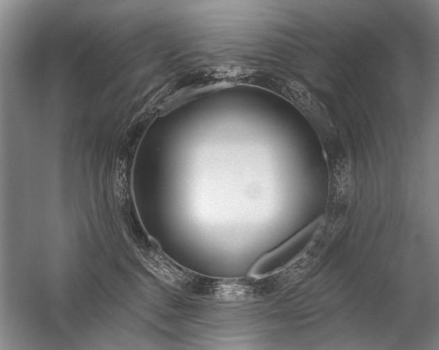 X0000059060376200510071048