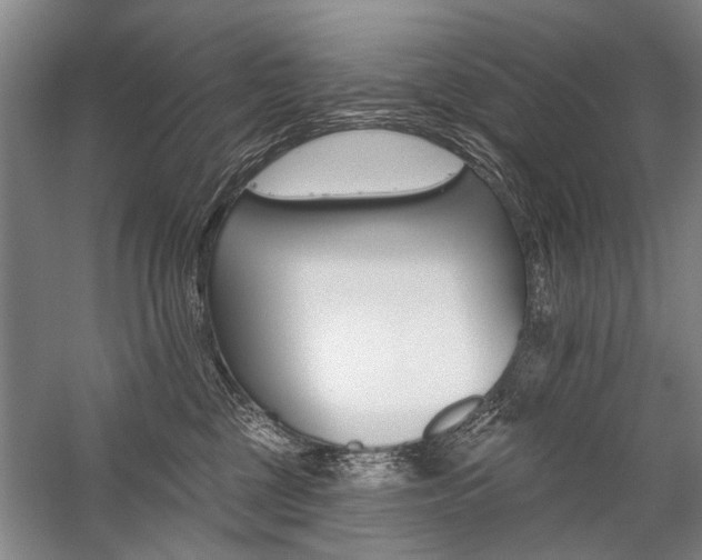 X0000059060377200510071048