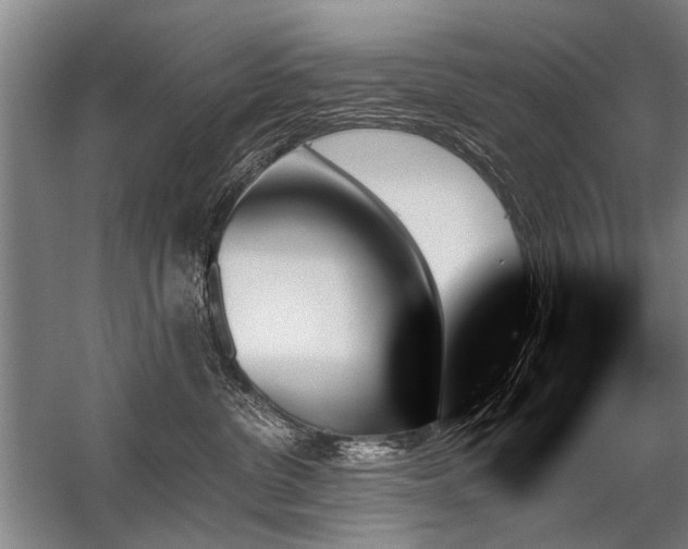 X0000059060380200510071048