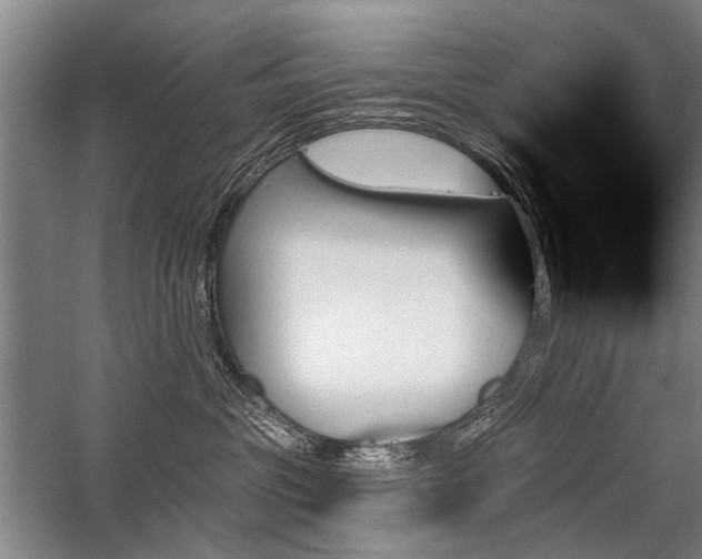 X0000059060381200510071048