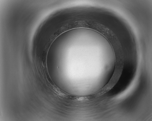 X0000059060382200510071048