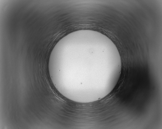 X0000059060383200510071048