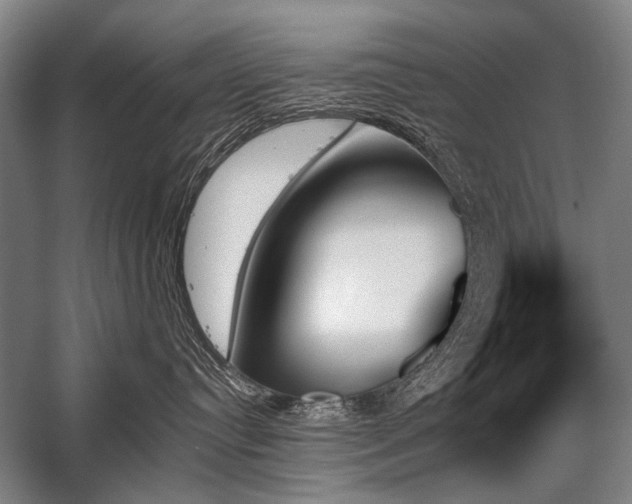 X0000059060384200510071048