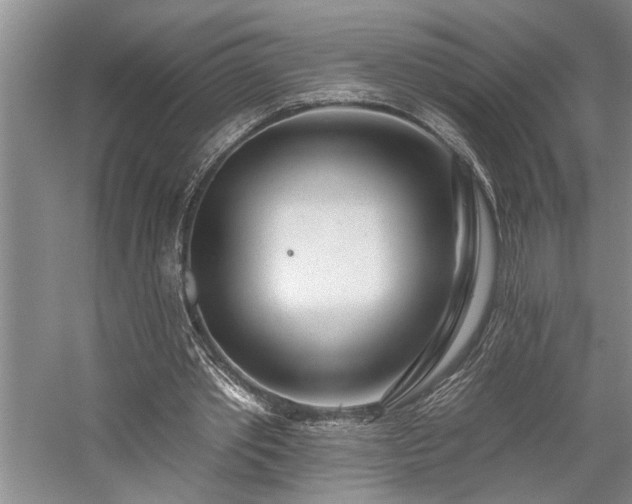 X0000059060389200510071047