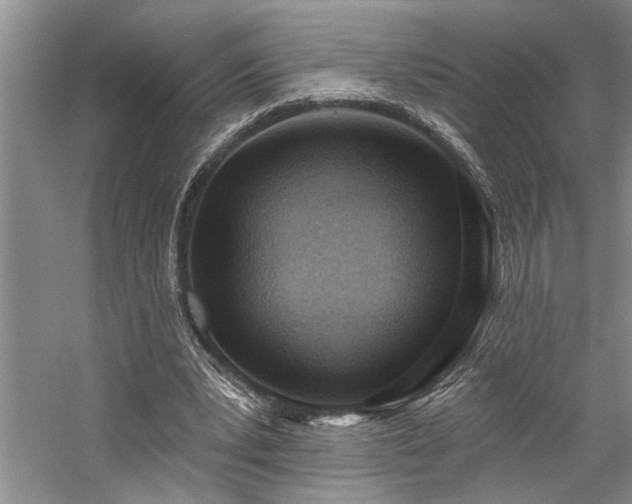 X0000059060391200510071047