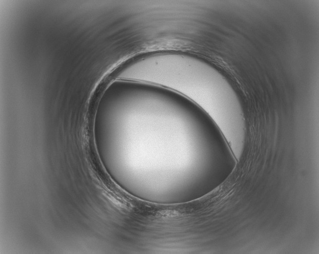 X0000059060392200510071047