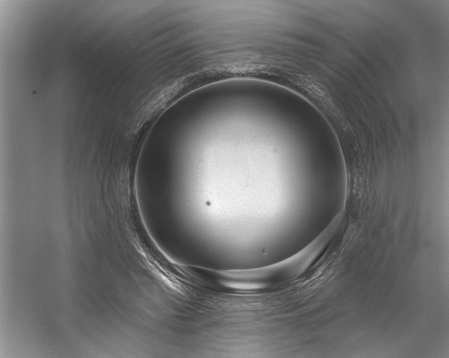 X0000059060397200510071047