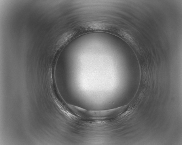 X0000059060398200510071047