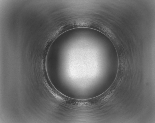 X0000059060401200510071047