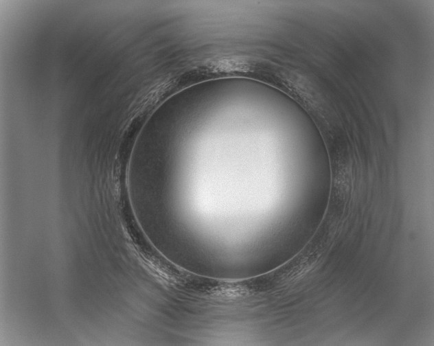 X0000059060402200510071047