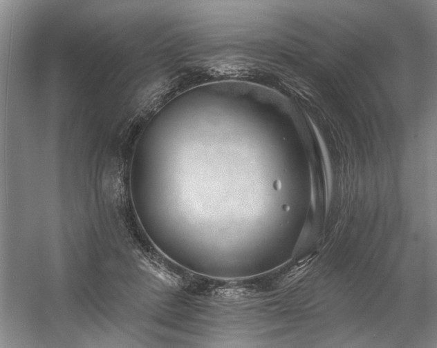 X0000059060408200510071047