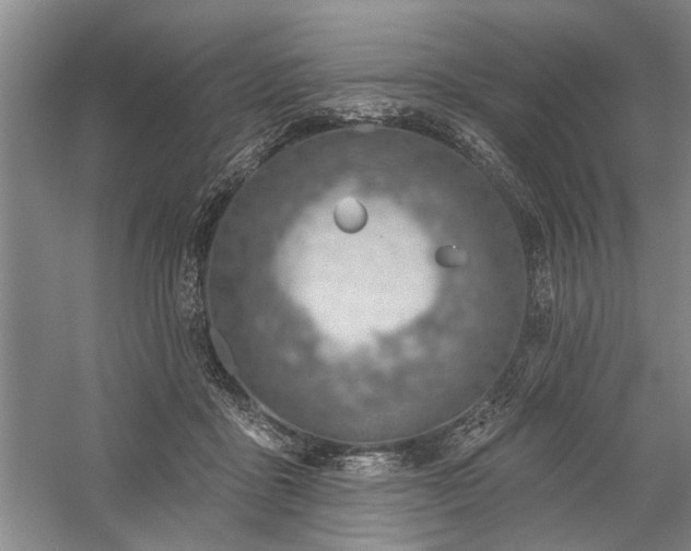 X0000059060411200510071047