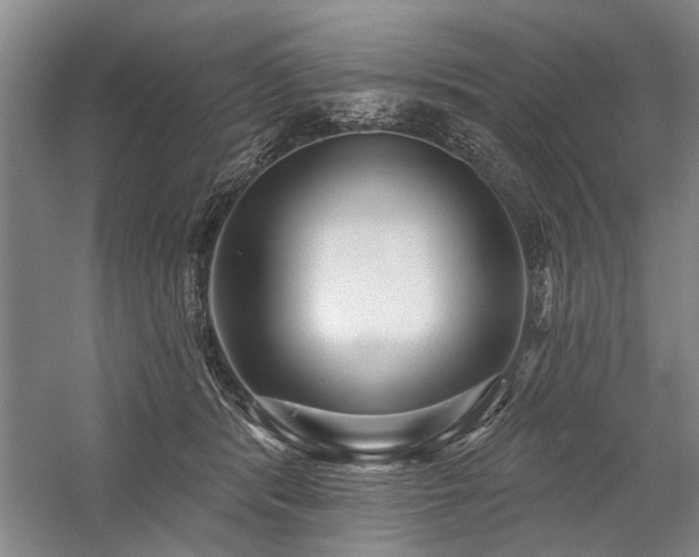 X0000059060416200510071047