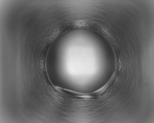 X0000059060417200510071047