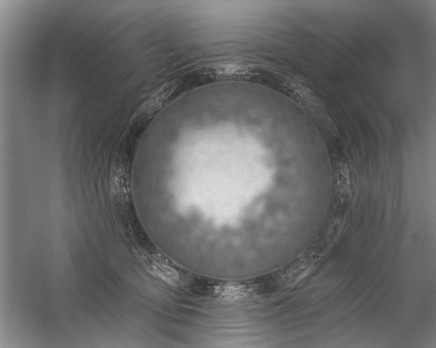 X0000059060419200510071047