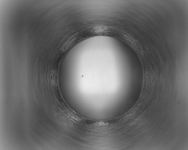 X0000059060421200510071047