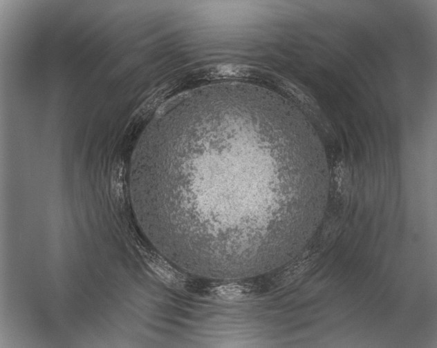 X0000059060423200510071047