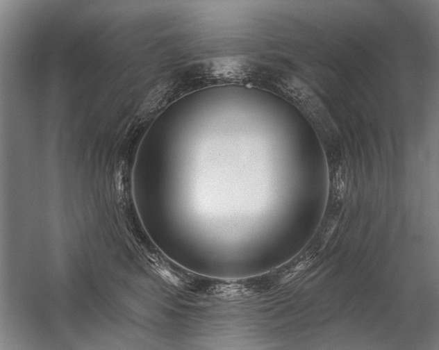 X0000059060424200510071047