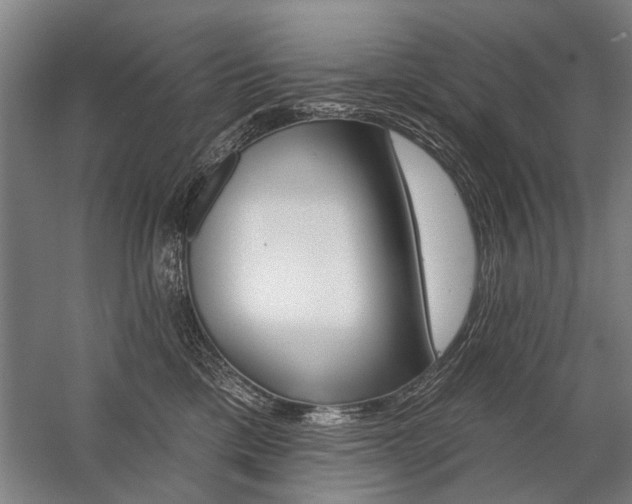 X0000059060425200510071047