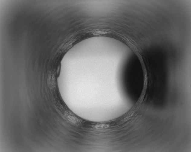 X0000059060426200510071047