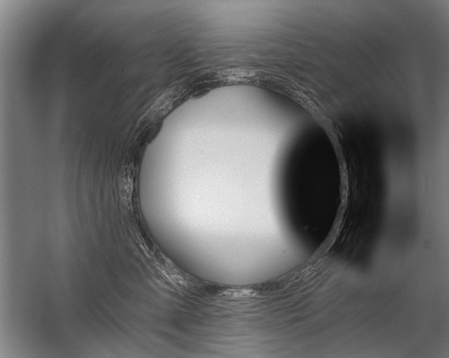 X0000059060427200510071047