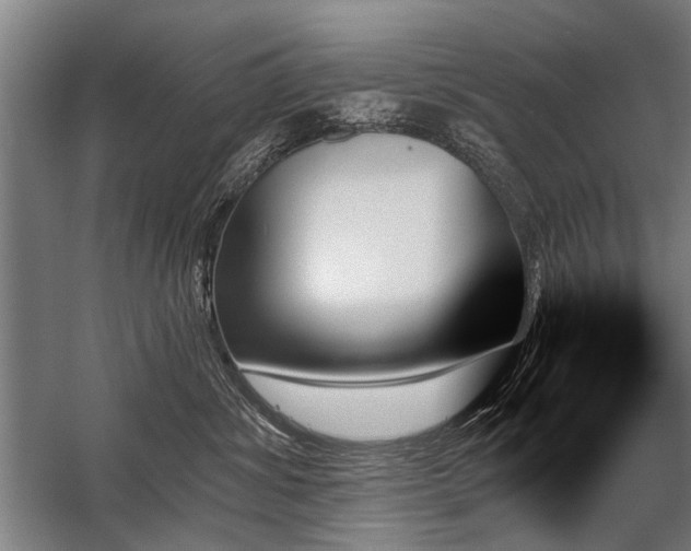 X0000059060428200510071047