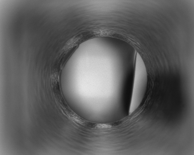 X0000059060429200510071047