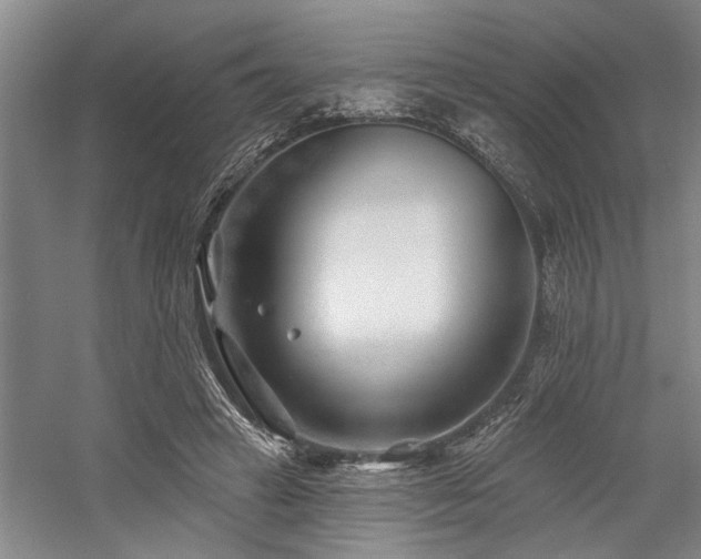 X0000059060449200510071046